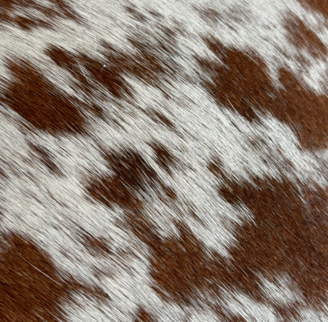 Close-up of brown-and-white hair-on cowhide texture